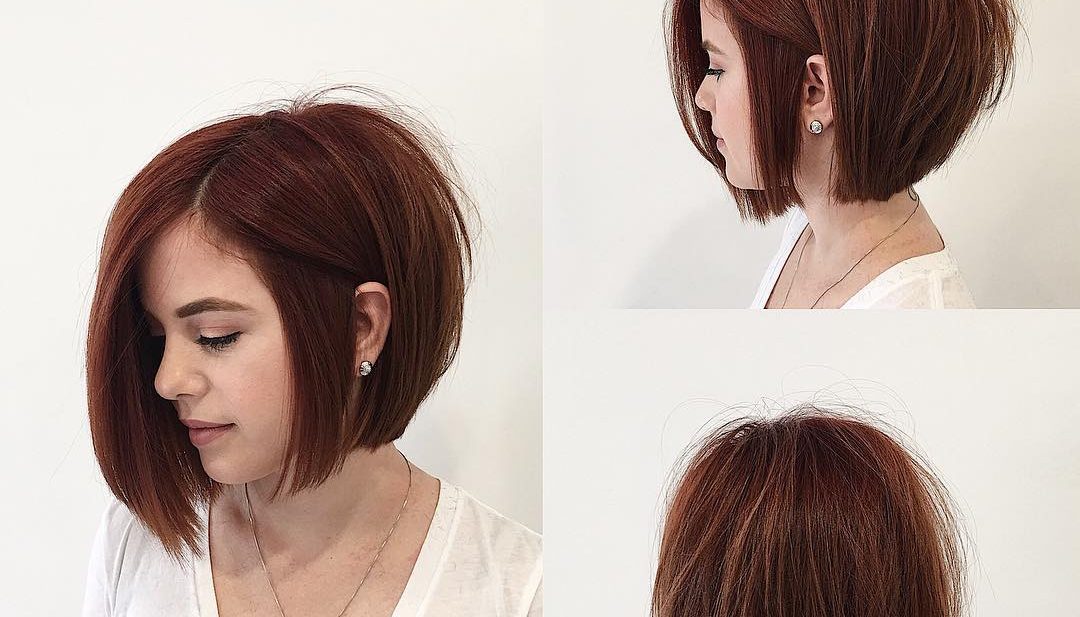 Soft Graduated Bob with Clean Lines and Warm Brunette Color Short Hairstyle